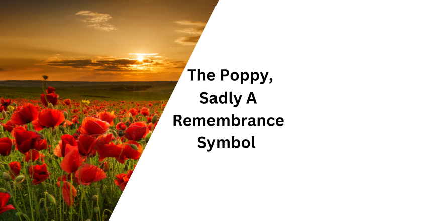 Sadly--remembrance-symbol